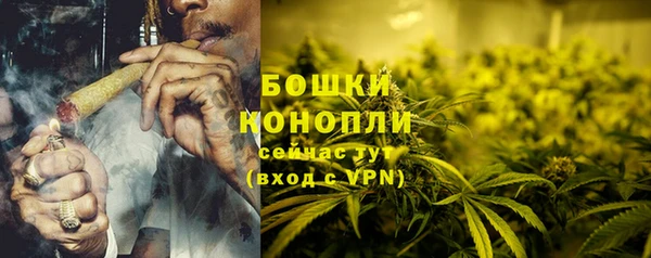 спайс Карпинск