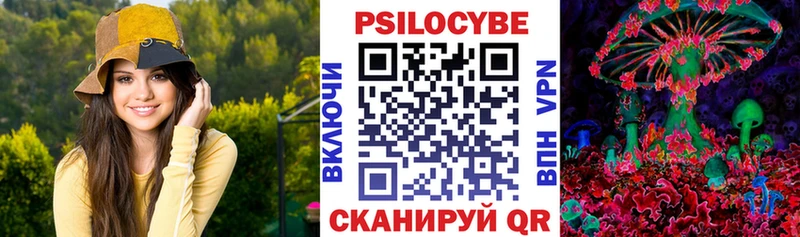 Псилоцибиновые грибы прущие грибы  Купить закладки  Венёв 